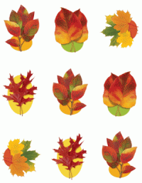Autumn Leaves for Thanksgiving Stickers