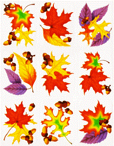 Fall Leaves Thanksgiving Stickers