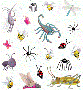 Cutest Bug Stickers