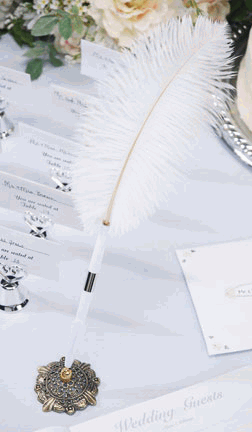 Ostrich Feather Wedding Pen Set - White