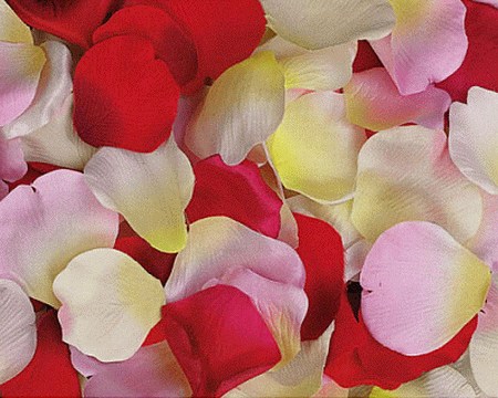 Mixed Wedding Rose Petals