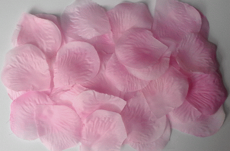 Pink Wedding Rose Petals