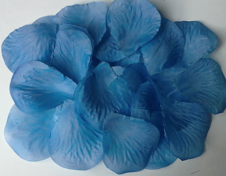 Turquoise Wedding Rose Petals