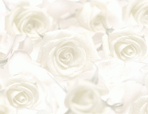 Floral Insert Wedding Bulletins - Half Sheet