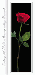 Single Red Rose Wedding Bulletins
